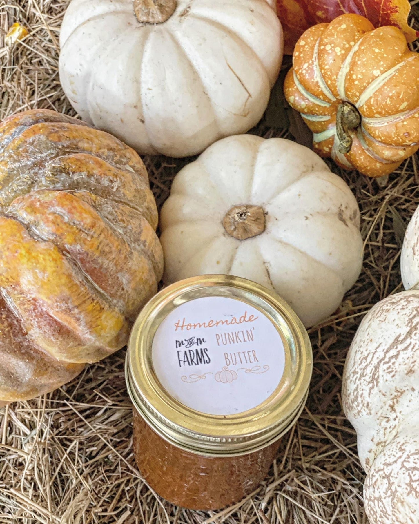 Homemade Pumpkin Butter