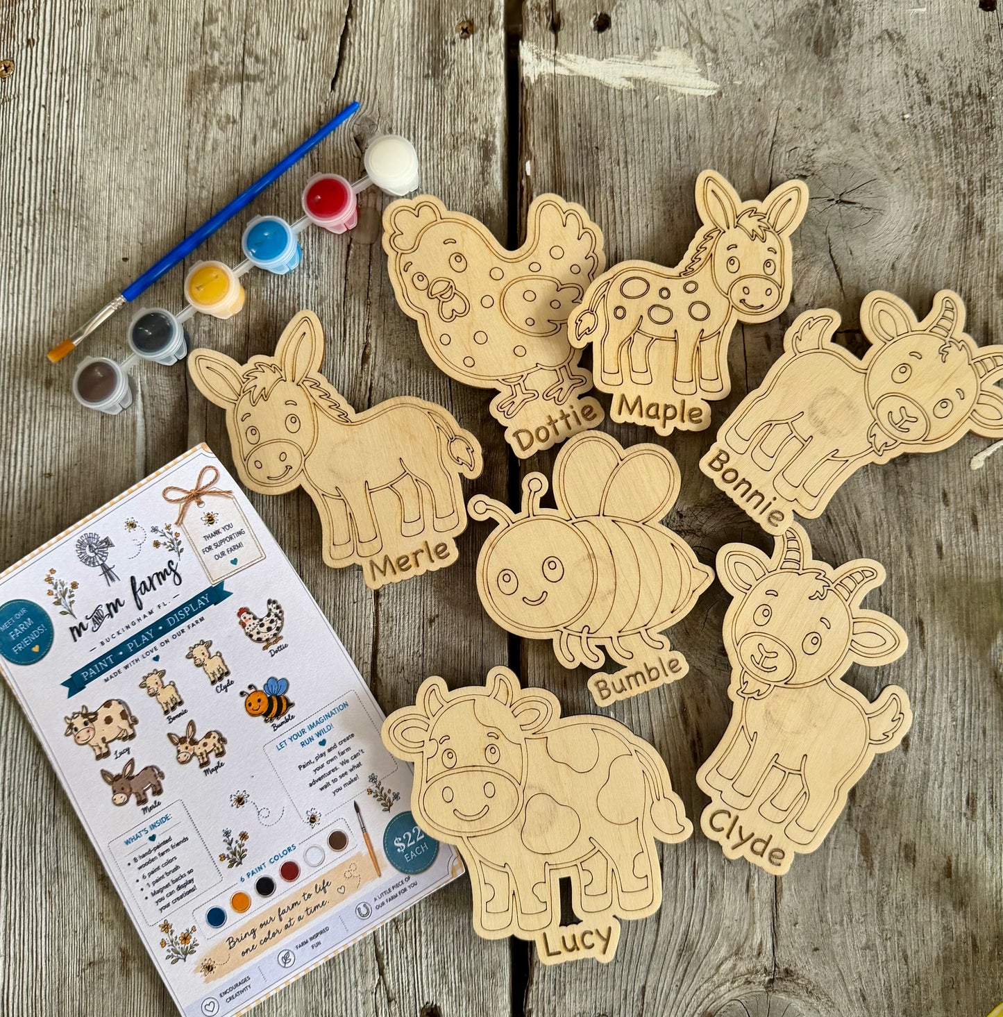 Farm Friends Paint & Play Magnet Box