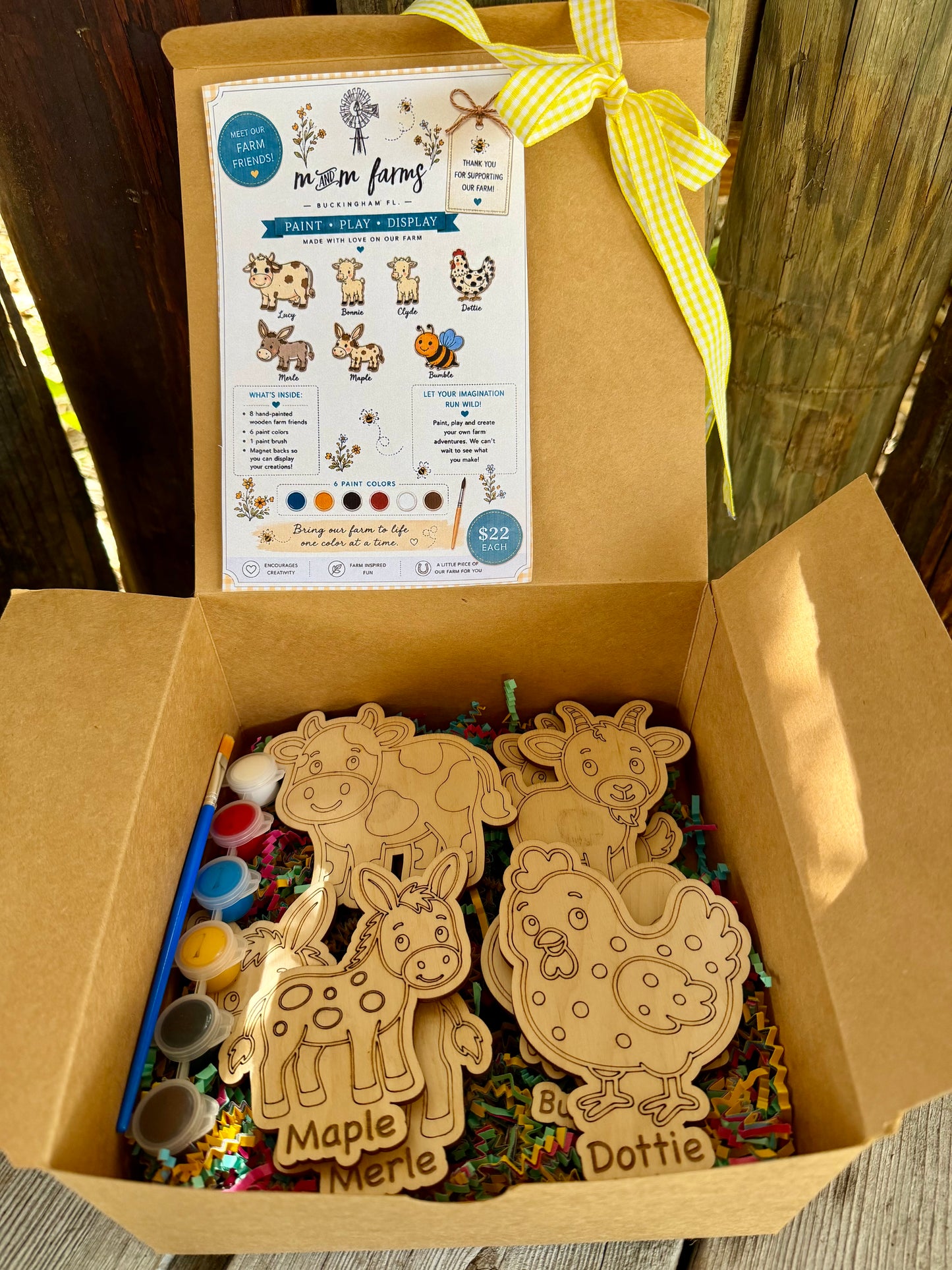 Farm Friends Paint & Play Magnet Box