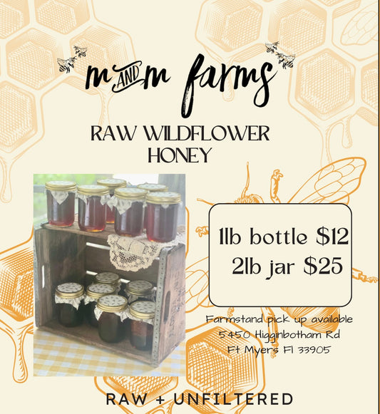 2lb Jar Raw Wildflower Honey